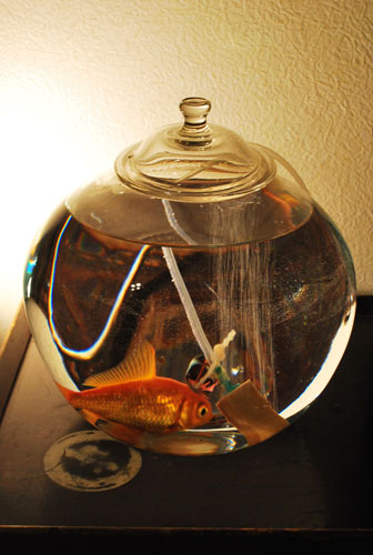 ガラス作家 白石和子2010年ガラス作品「金魚鉢」